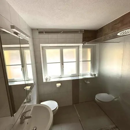 Schweizer Sennenhund Apartment Nauders