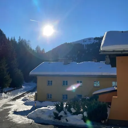 Schweizer Sennenhund Apartment *