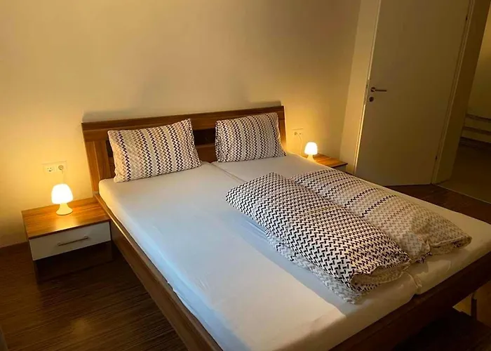 Schweizer Sennenhund Apartamento