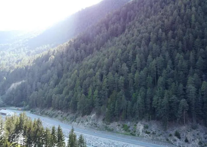 Schweizer Sennenhund *