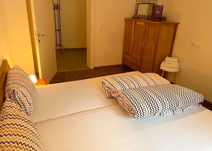 Schweizer Sennenhund Apartamento