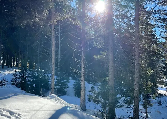 Schweizer Sennenhund * Nauders