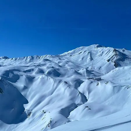 Schweizer Sennenhund * Nauders