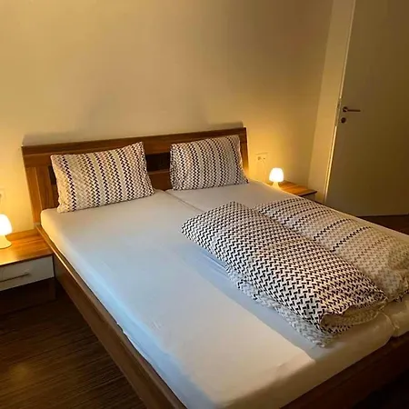 Schweizer Sennenhund Daire