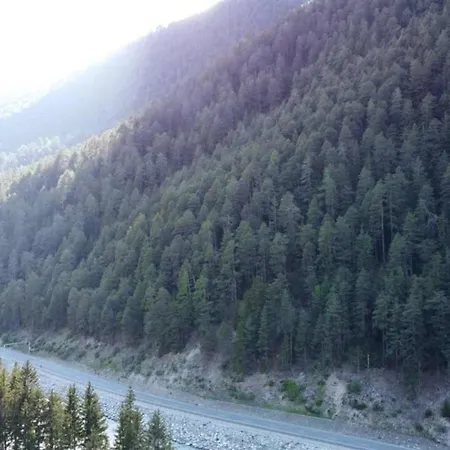 Schweizer Sennenhund *