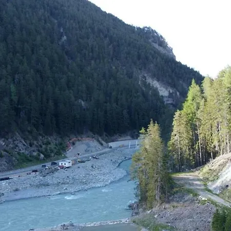 Schweizer Sennenhund Daire *