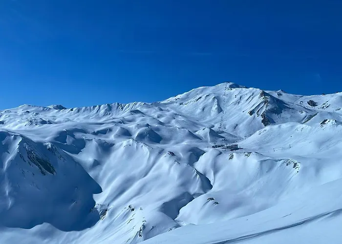 Schweizer Sennenhund * Nauders