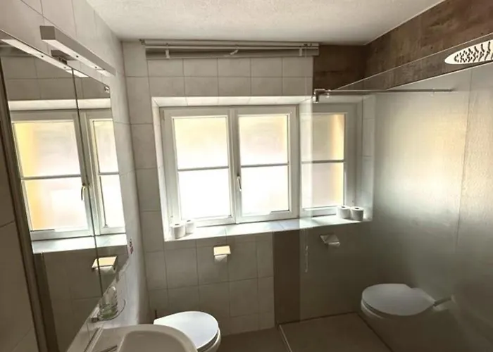 Schweizer Sennenhund Apartment Nauders