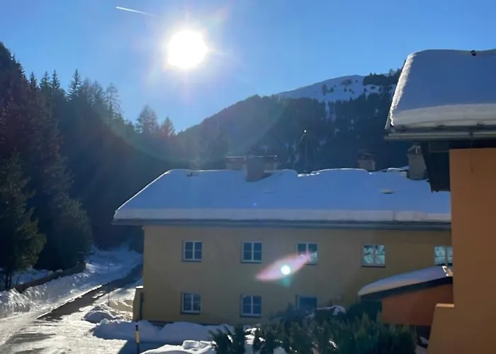 Schweizer Sennenhund Apartment *