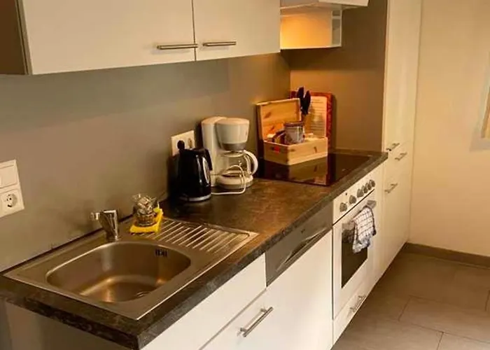 Schweizer Sennenhund Apartment Nauders